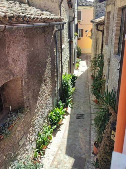 Pink House Apartment Fara in Sabina Exterior photo